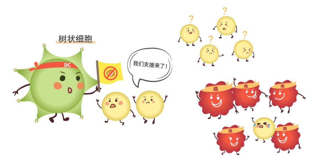 挑战癌王！诺奖得主斯坦曼“以身试药”，树突状细胞疗法将他生存期延长4年半(图3)