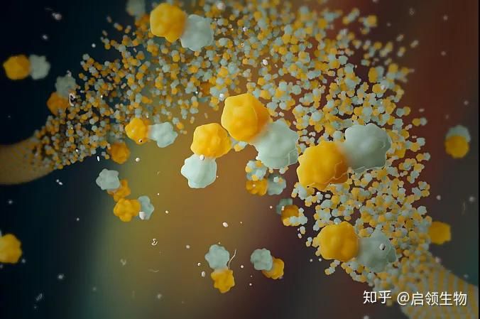 细胞破碎(图1)