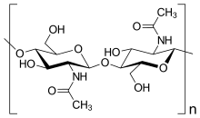 细胞壁(图4)