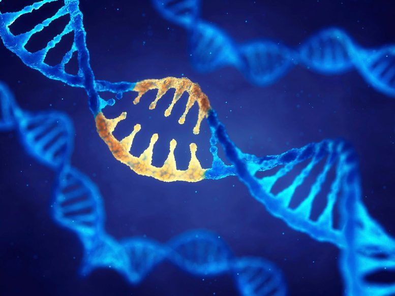 科学家们发现了基因开关的缺失如何导致胚胎发育过程中的畸形(图1)