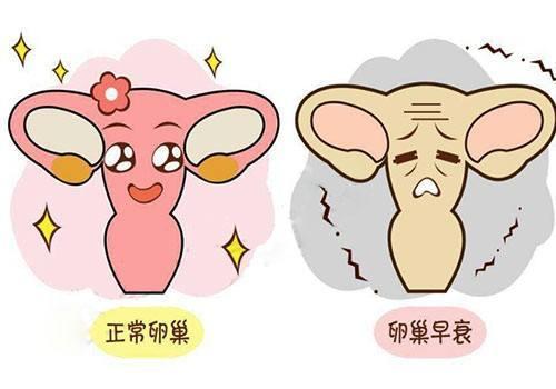 卵巢有救了 | 间充质干细胞治疗卵(luǎn)巢(cháo)早(zǎo)衰的研(yán)究(jiū)进(jìn)展(zhǎn)(图(tú)1)