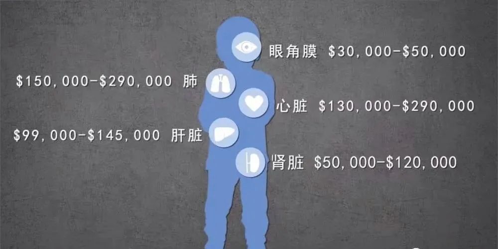 又添新证据！干细胞修复器官延缓衰老！(图3)
