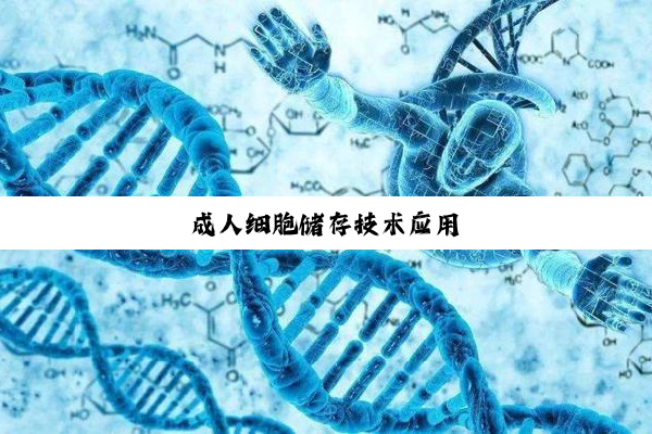 成人细胞储存技术应用