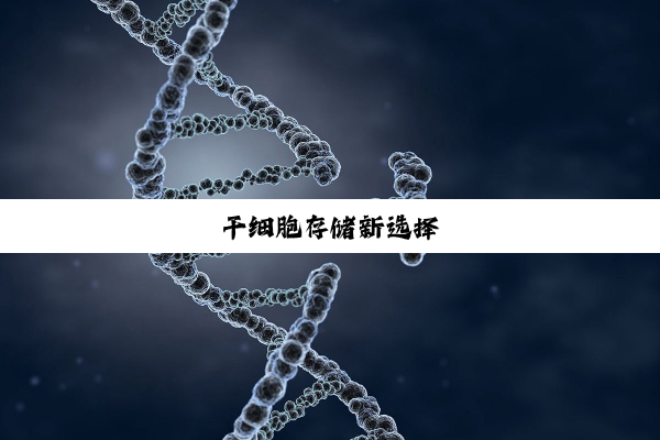 干细胞存储新选择