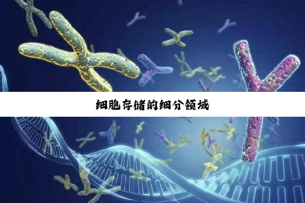 细胞存储的细分领域