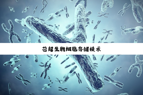 芯超生物细胞存储技术