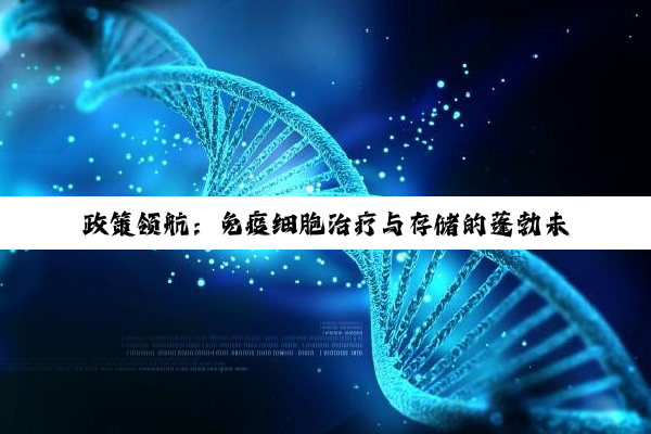 政策领航：免疫细胞治疗与存储的蓬勃未来