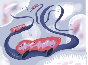 线粒体转移：细胞的“能源共享”及其对健康的影响