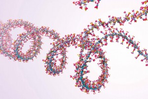 RNA的神秘领域——环形RNA