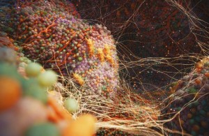 空间组学探索肿瘤微环境的分子地理学